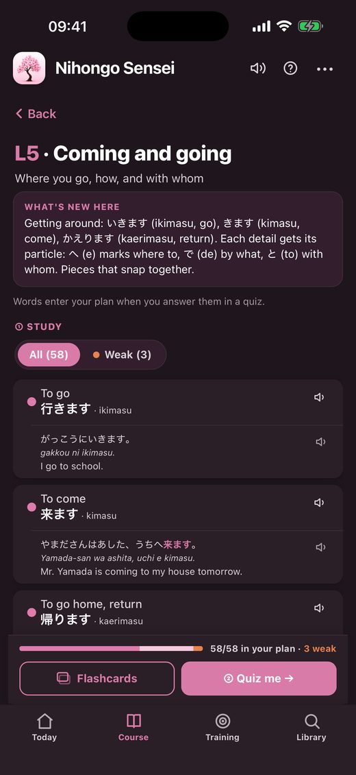 A lesson’s vocabulary with reading, example and translation
