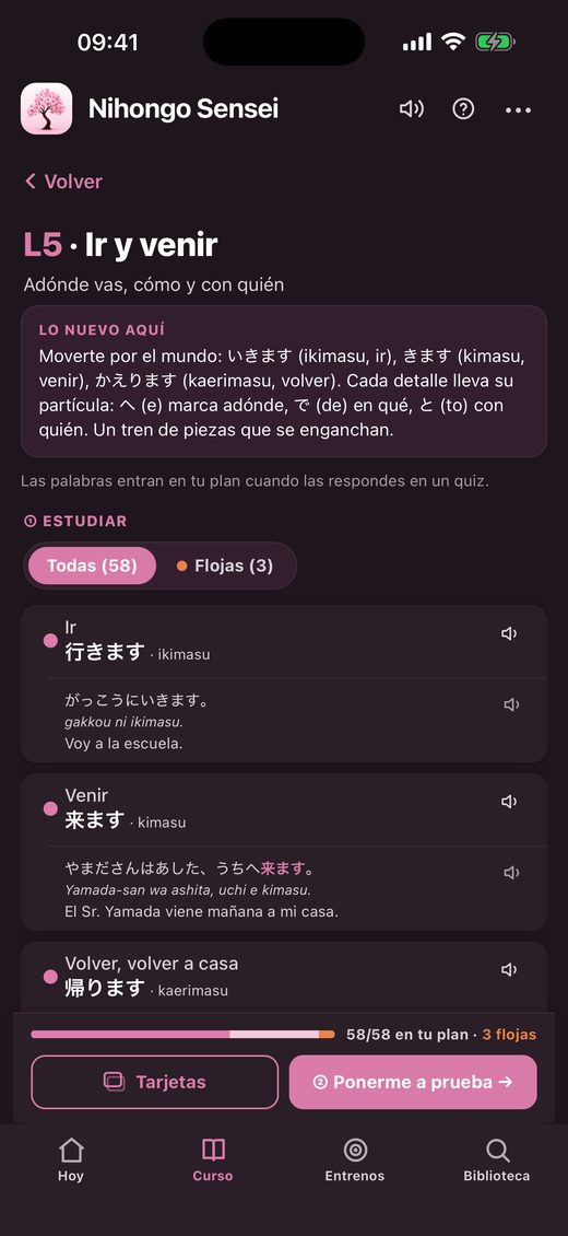 Vocabulario de una lección con lectura, ejemplo y traducción